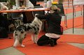 IMG_0055