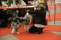 IMG_0056