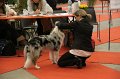 IMG_0057