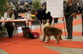 IMG_0058