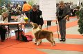 IMG_0060