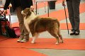 IMG_0070