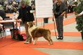 IMG_0073