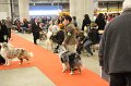 IMG_0121