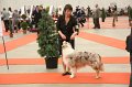 IMG_0129