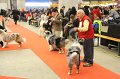 IMG_0134