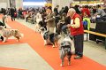 IMG_0135