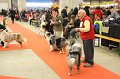 IMG_0136