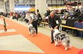 IMG_0155