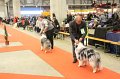 IMG_0156