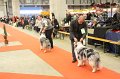 IMG_0157