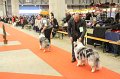 IMG_0158