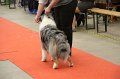 IMG_0161
