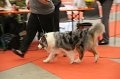 IMG_0165