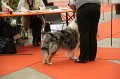 IMG_0180
