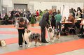 IMG_0197