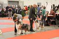 IMG_0200