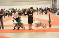 IMG_0208