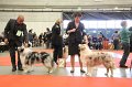 IMG_0219