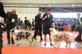 IMG_0221