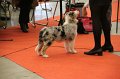 IMG_0259