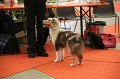 IMG_0269
