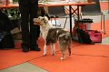 IMG_0271