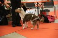 IMG_0272