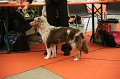 IMG_0274