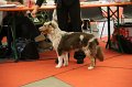 IMG_0275