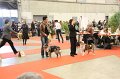 IMG_0279