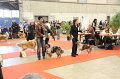 IMG_0281
