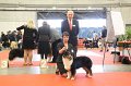 IMG_0288