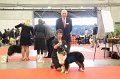 IMG_0289