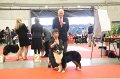 IMG_0295
