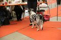 IMG_0313