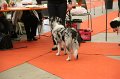 IMG_0314