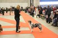 IMG_0320