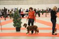 IMG_0321
