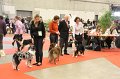 IMG_0329