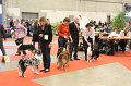 IMG_0331