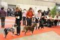 IMG_0335