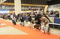 IMG_0337