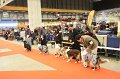 IMG_0338