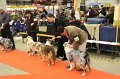 IMG_0342