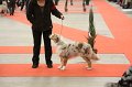 IMG_0351