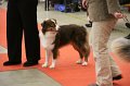 IMG_0359