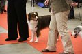 IMG_0360