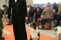 IMG_0365