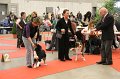 IMG_0374